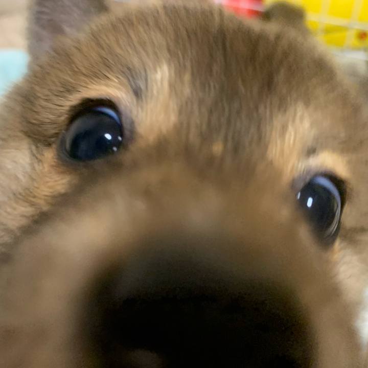 A125abbf 6455 493a a371 14557a1d8e31 1615980479228