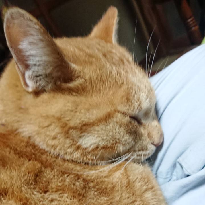 A125ebe3 109a 42a3 b572 1cfe147a9596 1574282458691