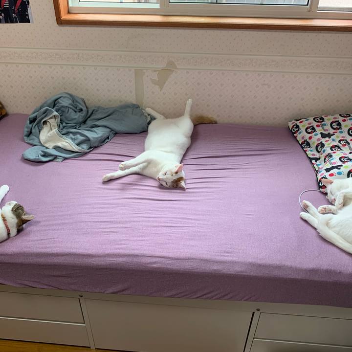 A125fb08 30a5 4fda a39f 3de90f49ac92 1624051741702