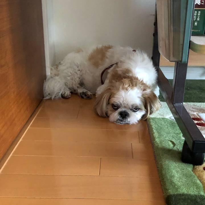 A1262643 7ace 42a7 81f2 f2cd3d946542 1561585590665