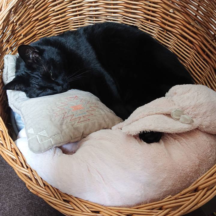 A126460f deab 4fe9 9759 f196c5f3ab6a 1654520981379