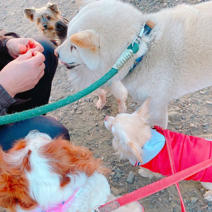 A1267a45 a95e 46bb b8c1 603ad17d1e80 1644222881671