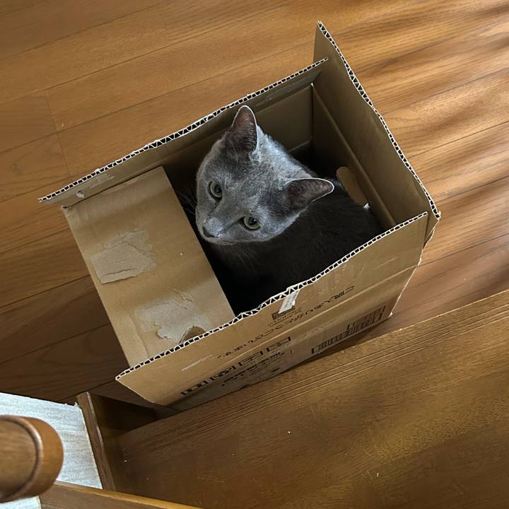 A1269965 852d 48c5 aa0e 0b855a66076e 1755933787441