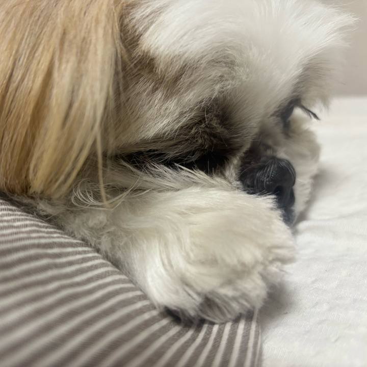 A126d745 585b 41cb ac42 1a380d33e991 1765411183794