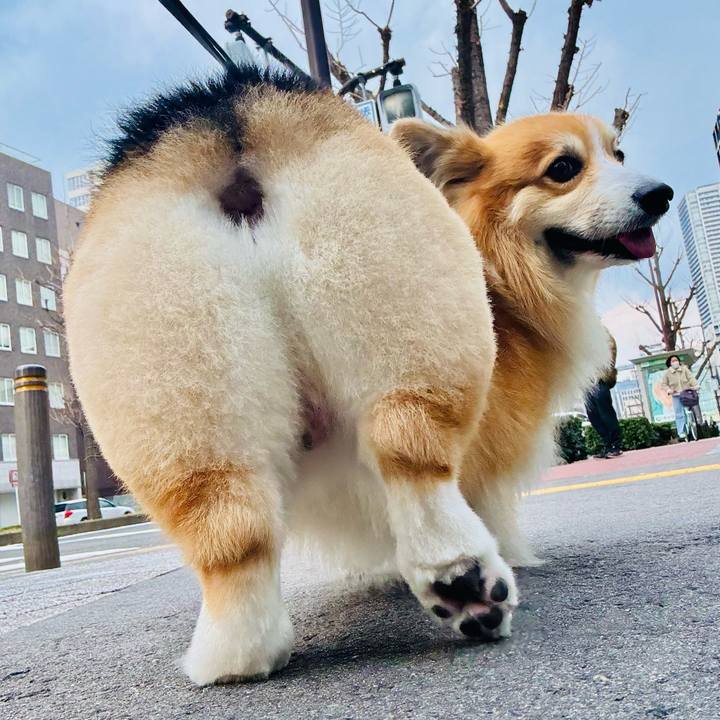 A126e3b4 03bf 4fc7 bd49 e6d401143df7 1767072480800