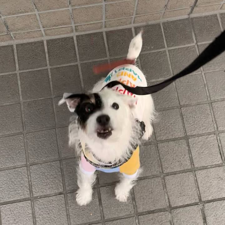 A126ebfc f9e1 41bb 8fc6 aef33f0604fa 1669101463059