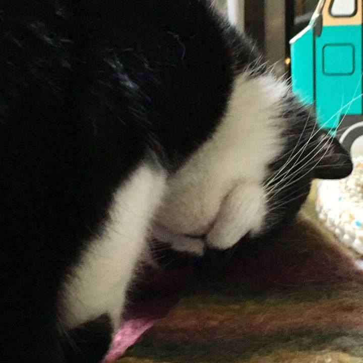 A126fdb9 efeb 4541 834d 7d45c51a904d 1538746633529