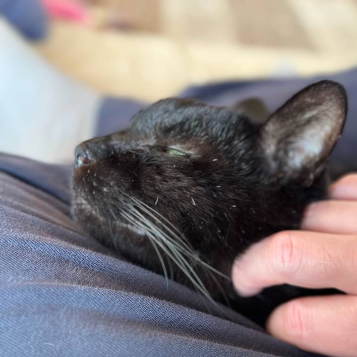 A12730e4 bd6a 4243 89ff c78974e9710a 1704248444109