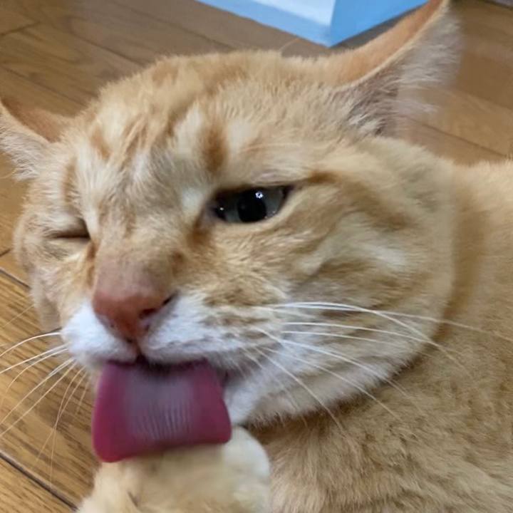 A12732a1 9dc2 43af 9ed2 606546c631d3 1683501241038