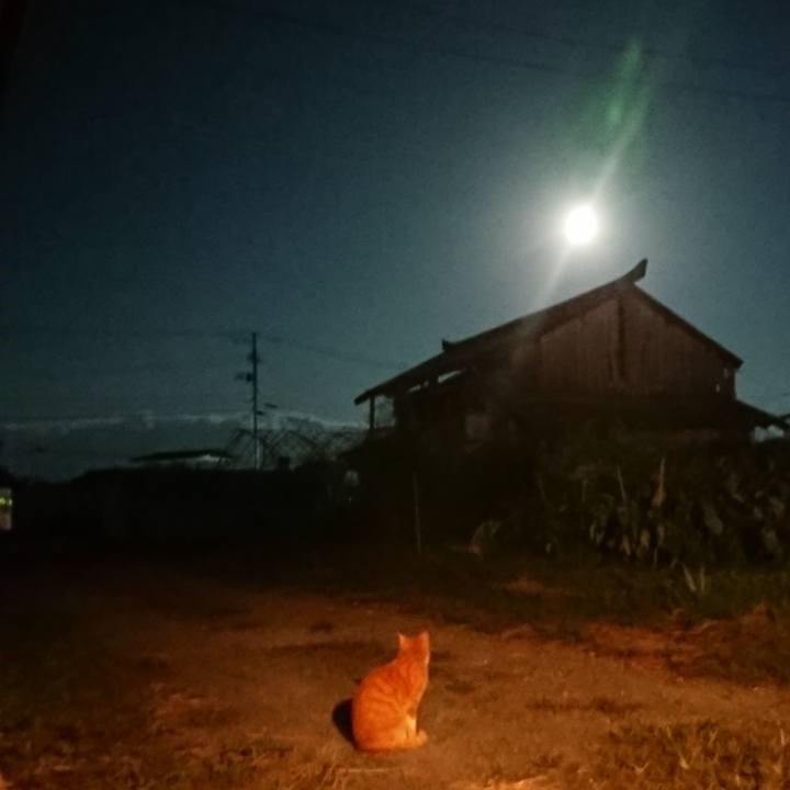 A127535b 39b0 4f6c bd26 69d734d6cf85 1568370002763