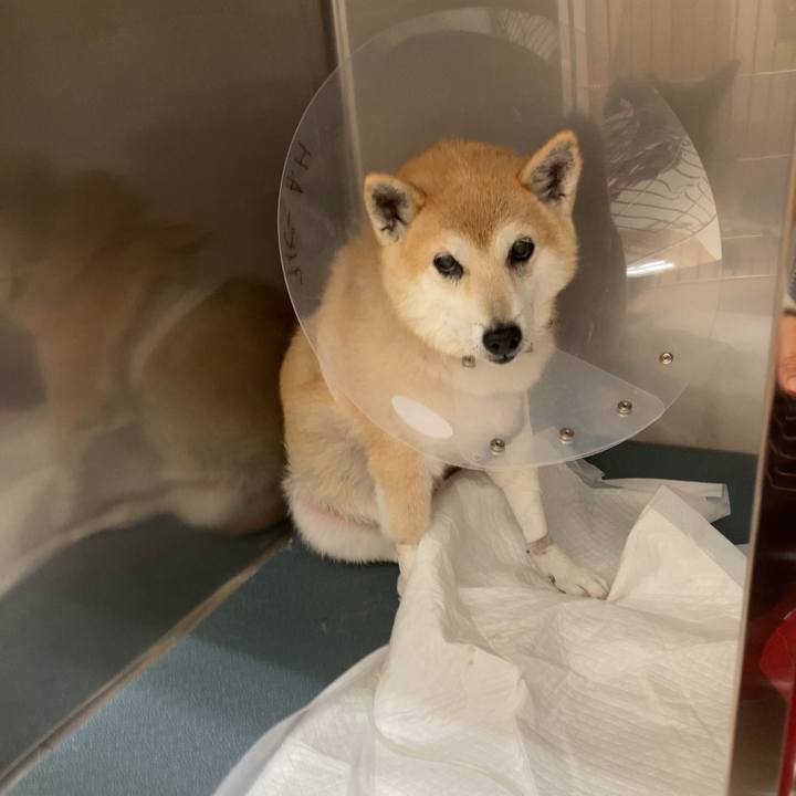 A1275fd2 1e60 453f bb93 ea3a1efa8a49 1637147083496