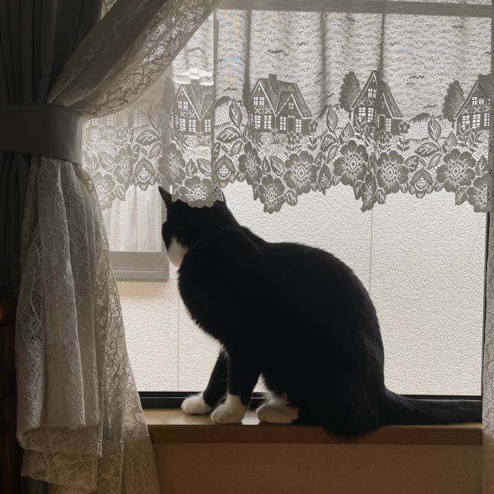 A1277b03 1dc0 4bf9 b730 8f213d2e3e04 1650675247659