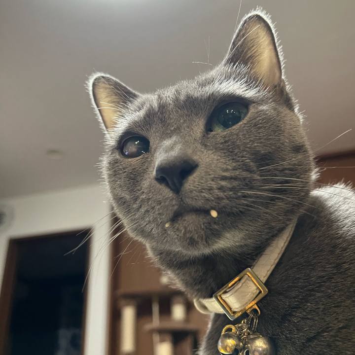 A127d70a 3528 4f59 a94a 30f955938479 1710845246289