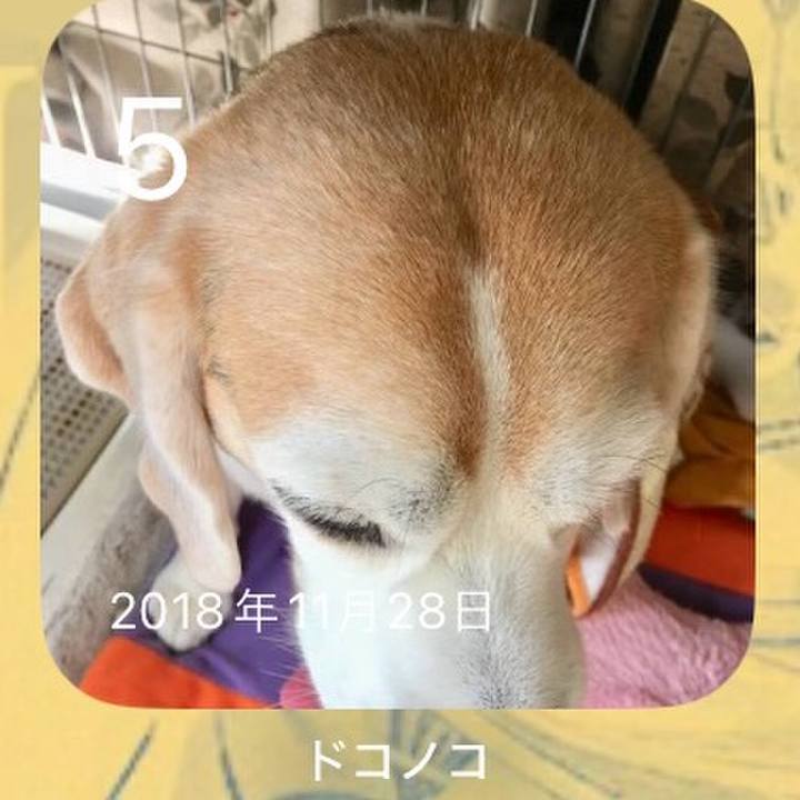 A127db6b 37be 4248 8685 1ad69a391612 1701741334367