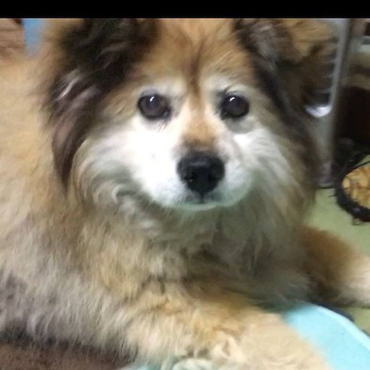 A1283912 66e2 469f b405 a38d5396b31f 1592070968000