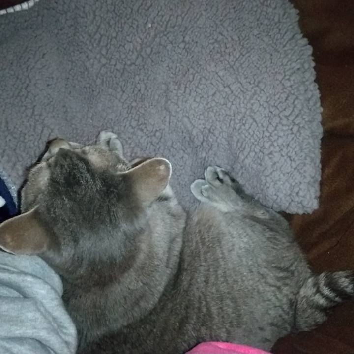 A1288226 35b8 4159 bff8 db76b3fdacb6 1684098304315