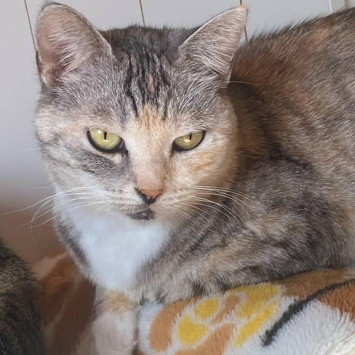 A128a548 c576 43b5 a35f bed428a47818 1638496838917