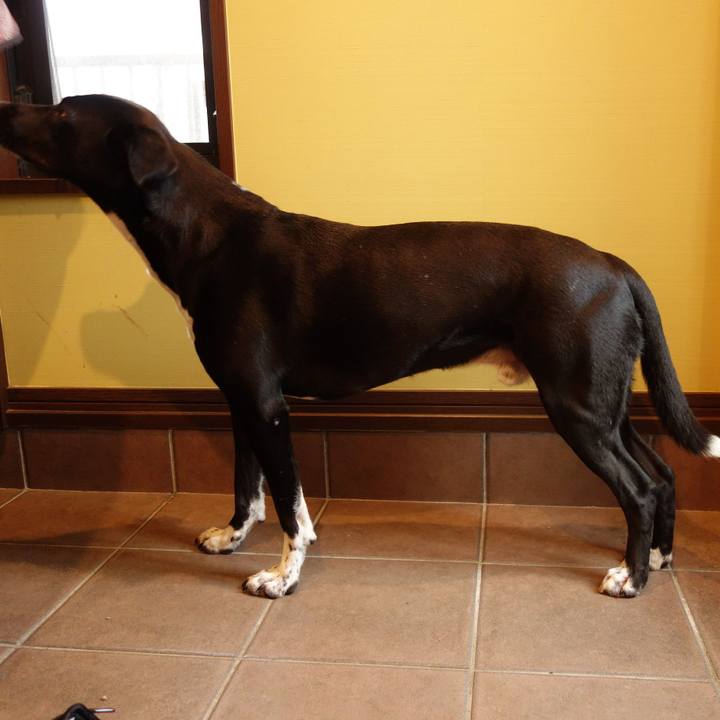 A128e337 8915 4150 81d0 bdbab6ca5445 1596931101190