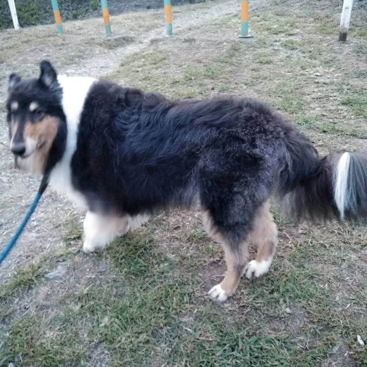 A128edcc b9c4 408c 945c f40b7ddf05b5 1534690866210