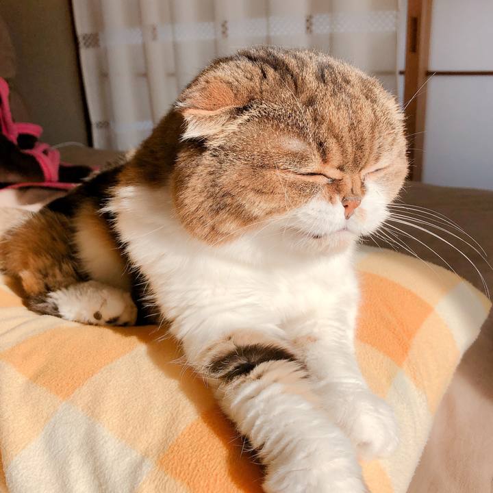 A129034d b34a 4580 872c b29bfbcc9f1f 1587596417421