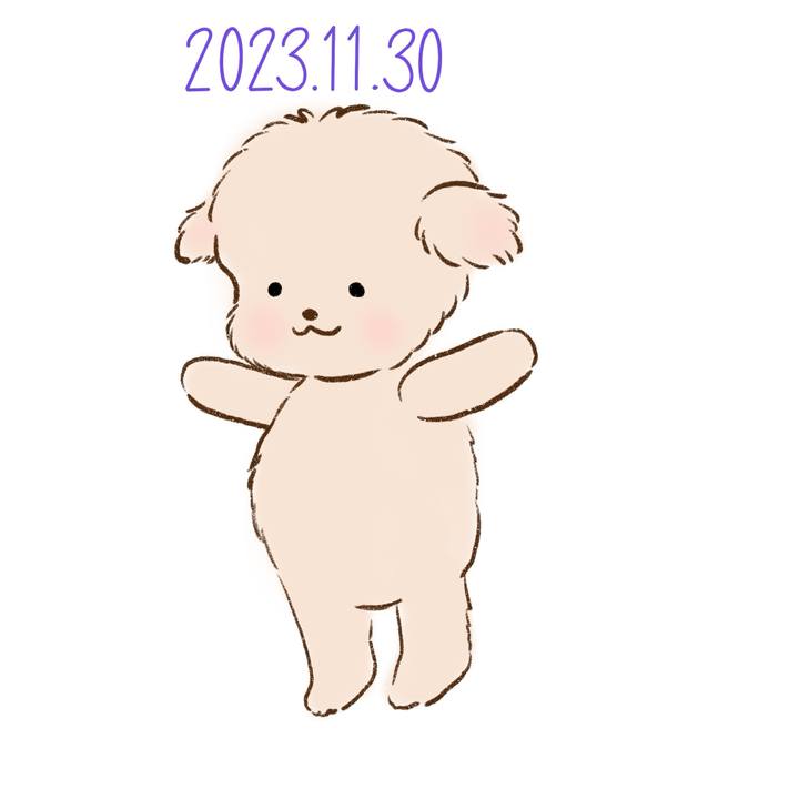 A129202b b460 4531 adf2 e824dbaa64cb 1701351040006