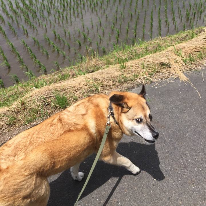 A12924c3 5227 4209 9c4b 7390d1fe7b8c 1560650332196