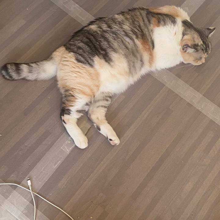 A1294ca3 83a3 4ae3 880b c85b5abb6cbe 1642480574571