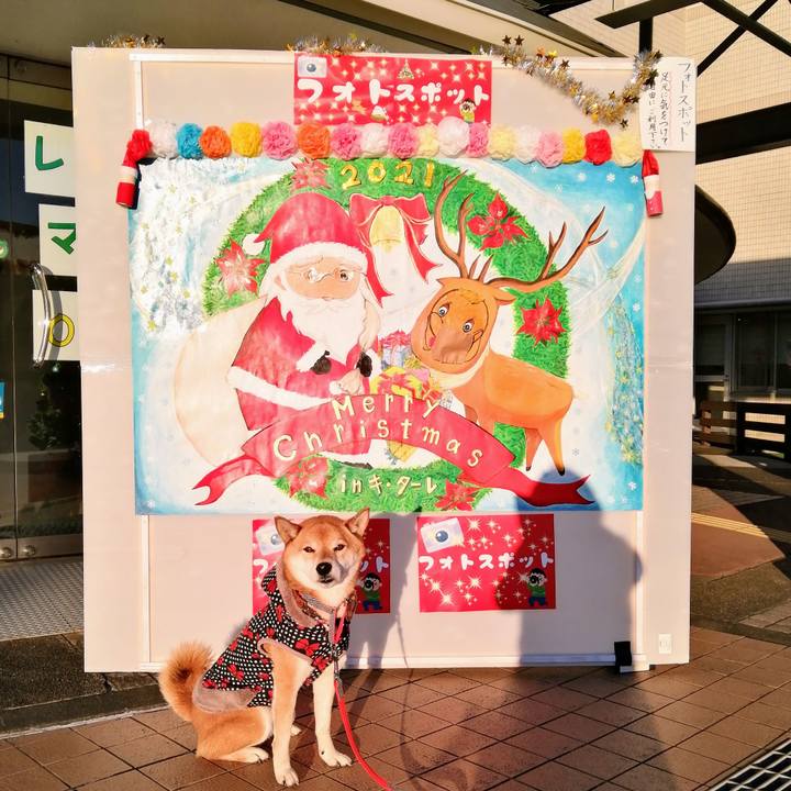 A12961d1 770a 4014 8ccf 010c4f3fcf37 1639815532187