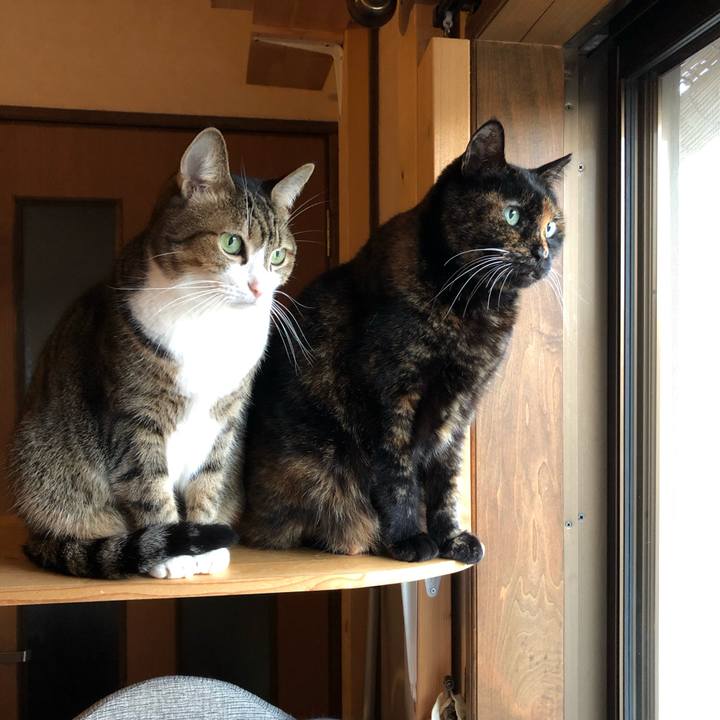 A129df12 163e 4457 bcd1 65bb62152b08 1579655896527