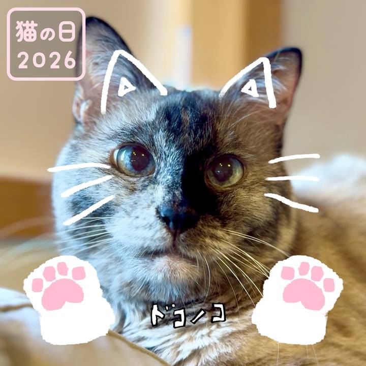 A129f7b2 62c7 4bd2 a895 a3cd684165f1 1771762499177