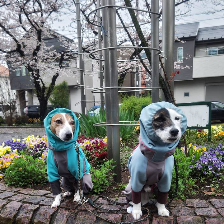 A12a097b 57f8 49a5 976c ac157a4b79a9 1775083765448