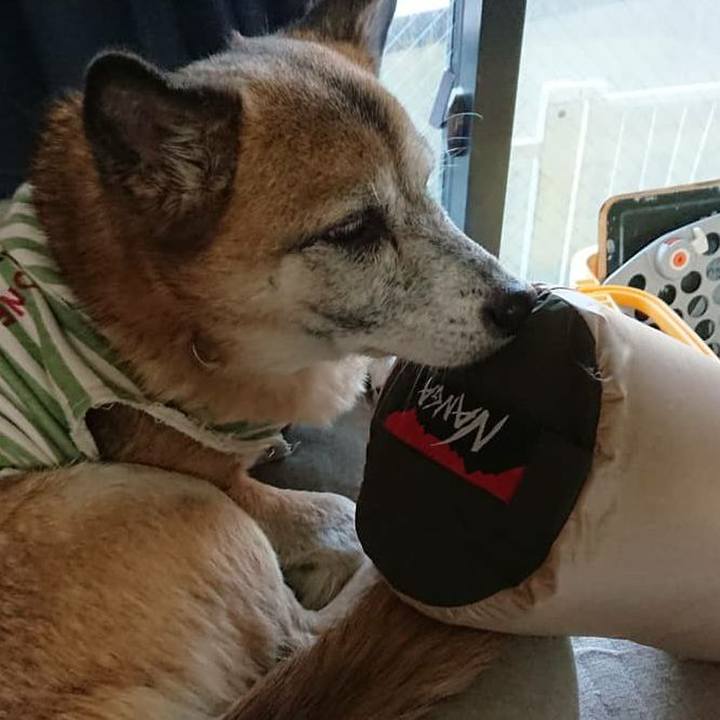 A12a4281 7672 40c2 84d5 e591b8d08af2 1585173102957