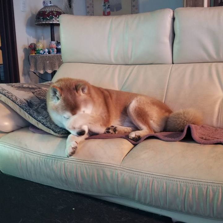 A12a7e75 25de 4626 82e3 b487d8627351 1740297128698