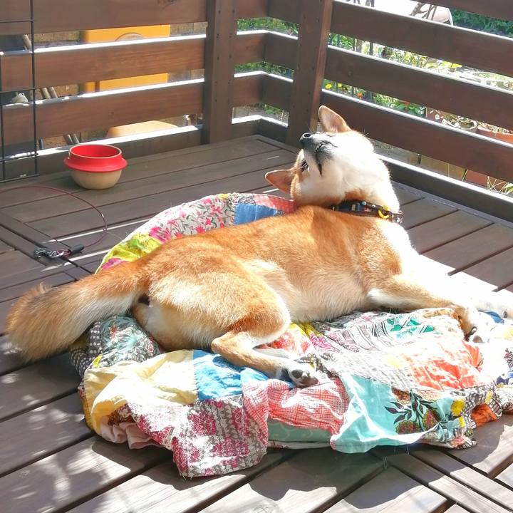 A12ab134 6470 4b3b afd9 c1b5b310199a 1664514789748