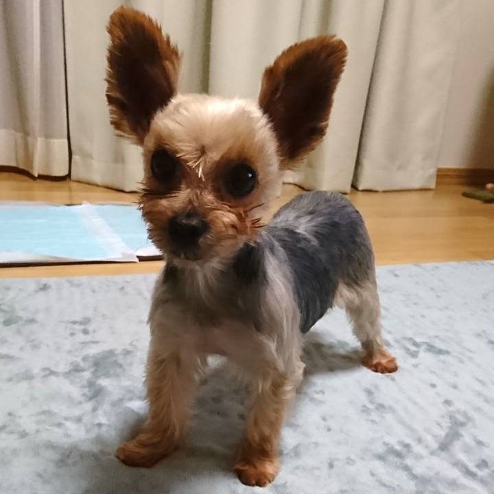 A12ace0c f2e6 4c23 a4c1 572e09433c46 1532009416215