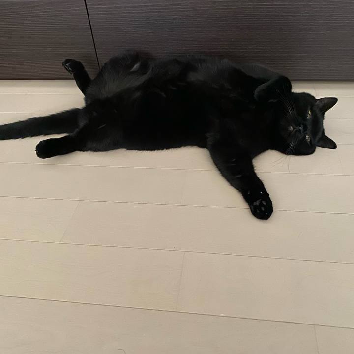 A12ae83d 4e94 42c3 8b03 eb81e2f11fcf 1695174906177