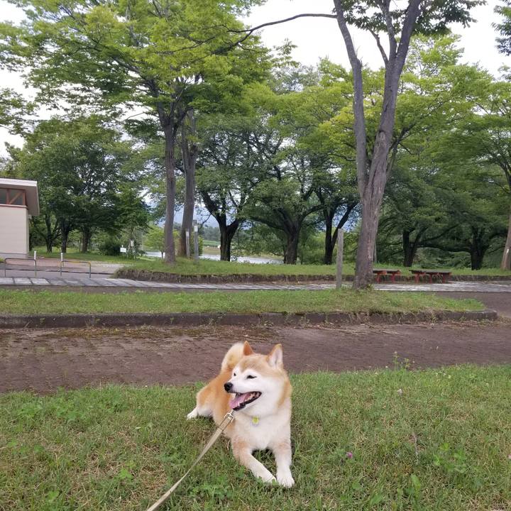 A12b381b 9f3b 430c 953a bdda0d37ad1c 1659516892118