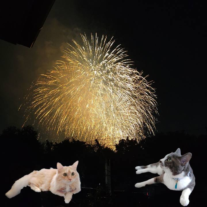 A12b4320 1fa2 4a84 ac28 eb25497bff26 1722751431586