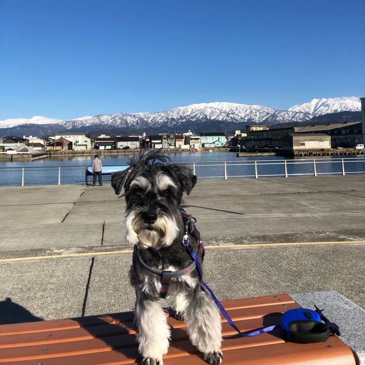 A12b4b64 298e 43e6 9641 d88feeefa597 1679403350913