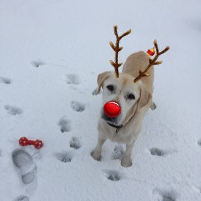 A12b7686 55b6 4ff3 82b4 13efdf08b163 1513569290865