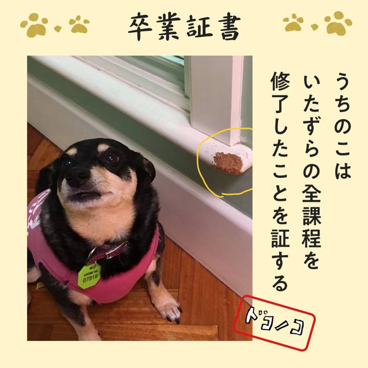 A12b7814 b70c 4f66 bd82 813a31ca2364 1772378795937