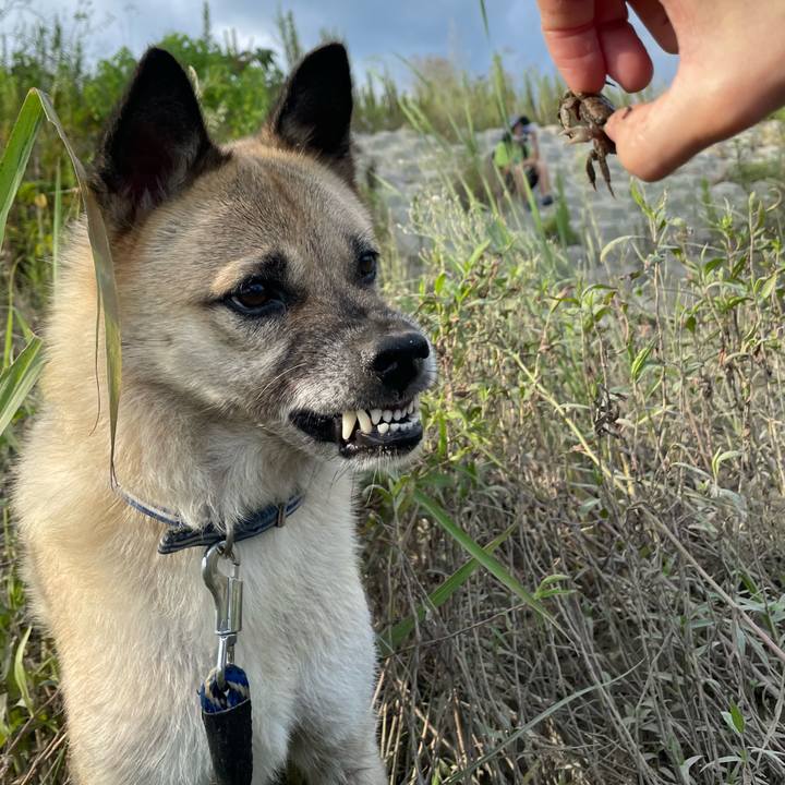 A12b86f1 3b9b 4fe6 9d3b 317b28f86b60 1662807919468