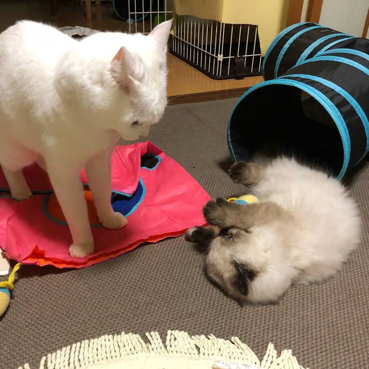 A12b8c7c 7a95 4f7e bade 919e16481b4d 1633353284438