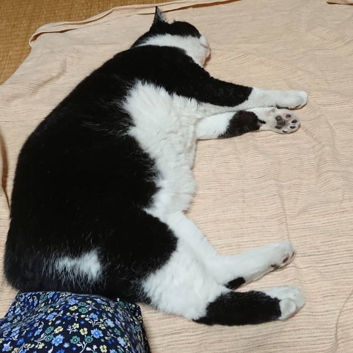 A12b8f78 5a42 4138 8a09 0419f5529bcf 1627132913374