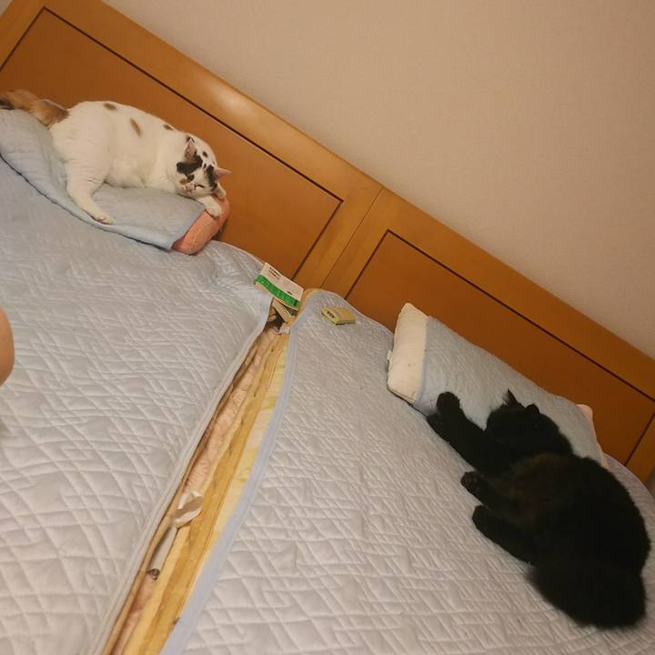 A12b902c 6826 4466 91ec 5d51edf4a50d 1534080422440