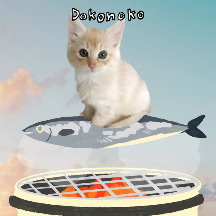 A12b9131 53c6 4ba3 ac0d 200a3493d071 1761135643991