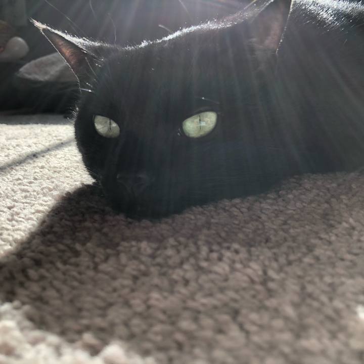 A12bb6b1 a652 4132 919d 3f85c23c31b9 1513957369165