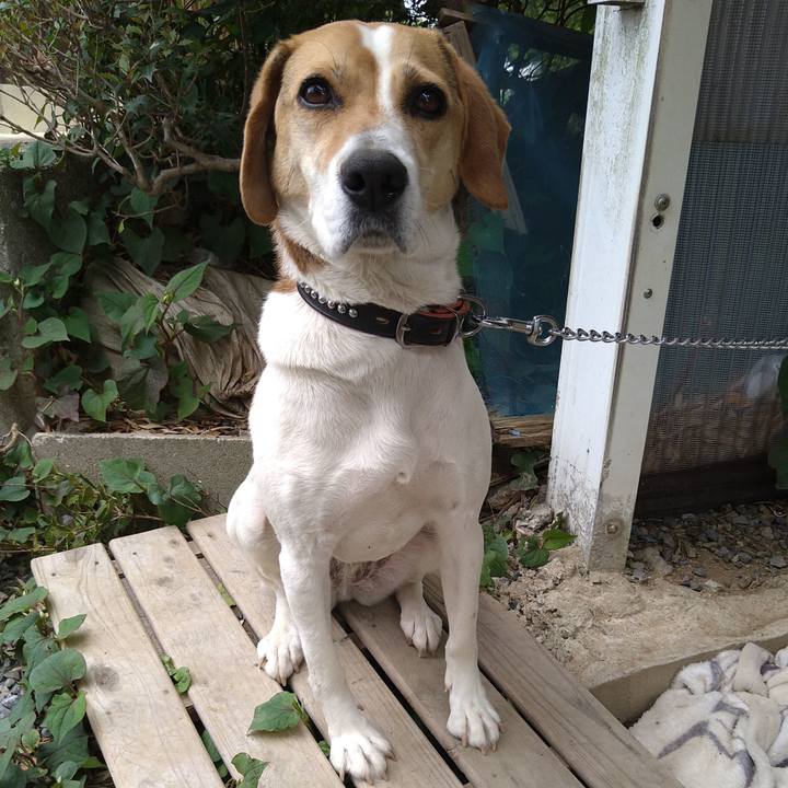 A12bdcb3 4bff 4faf ac71 f5b0c1f30039 1621077567022