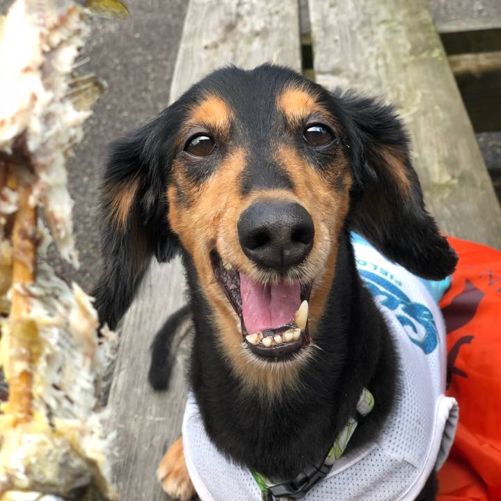 A12c0691 fb92 4265 99f0 7006ad36b8e4 1534250470039