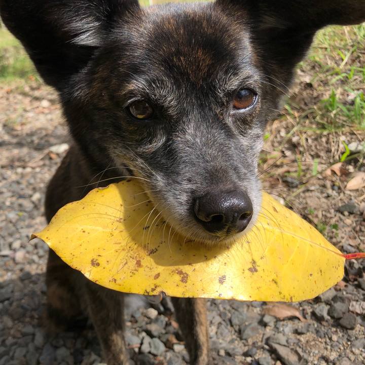 A12c61c8 9709 4005 9b6e 0029ec41d632 1602165667974